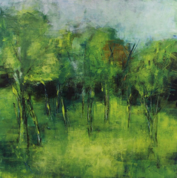 Mt Cambria - Young Trees